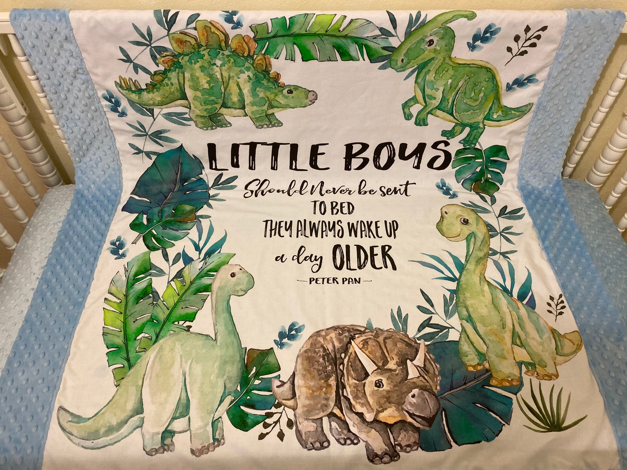 Dinosaur Baby Blanket, Baby Boy Blanket