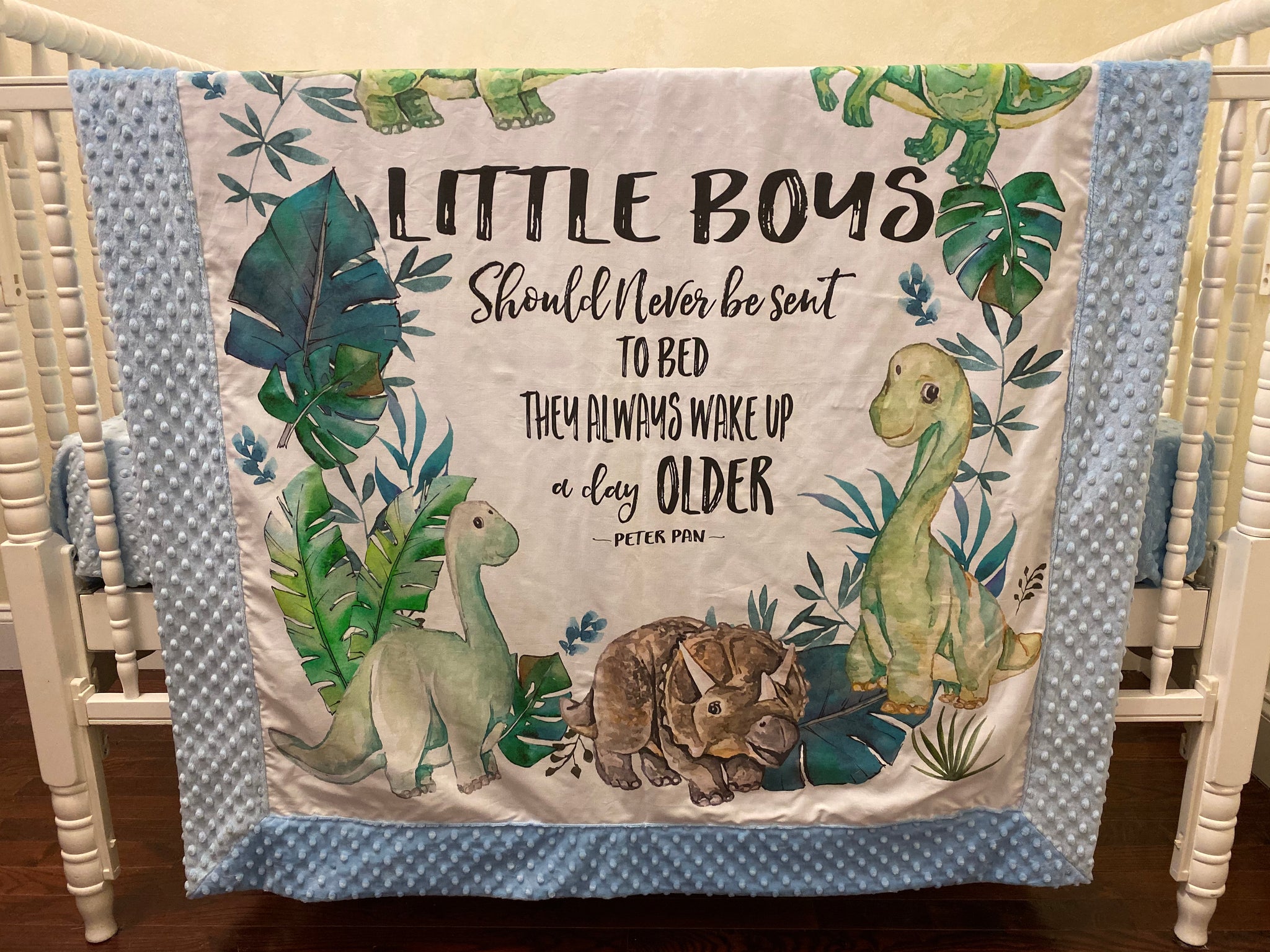 Dinosaur Baby Blanket, Baby Boy Blanket